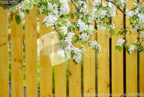 Image of wooden fence