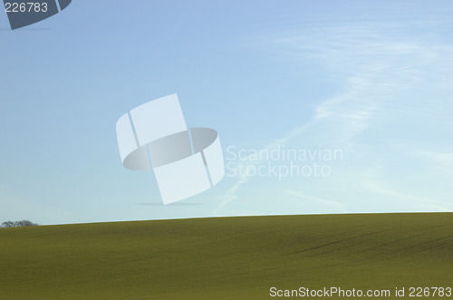 Image of Green field