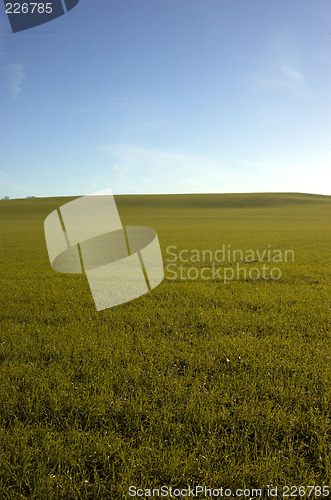 Image of Green field