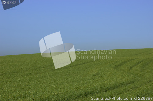 Image of Green and Blue