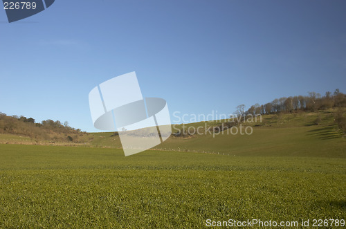 Image of Farmland