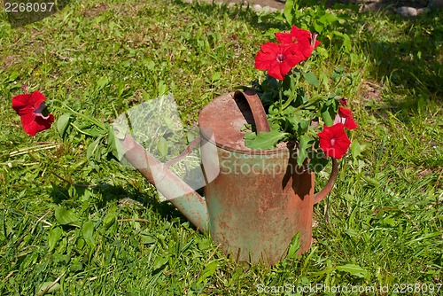 Image of Flowers in an old watering can.