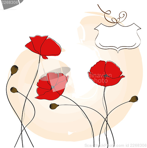 Image of poppies floral background