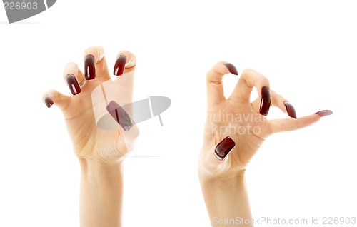 Image of aggressive hands with long nails