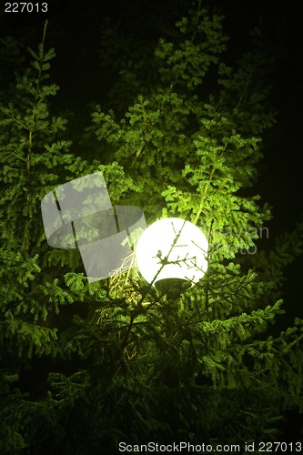 Image of Street lamp.