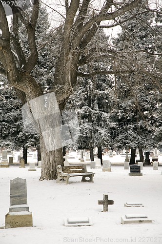 Image of Cemetery bench