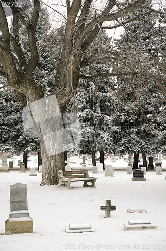 Image of Cemetery bench