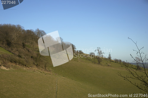 Image of Green valley