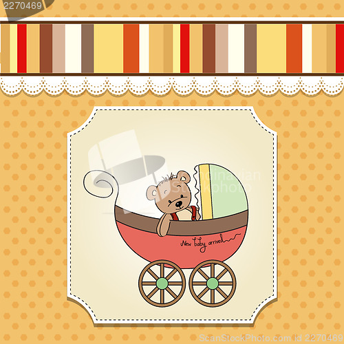 Image of funny teddy bear in stroller