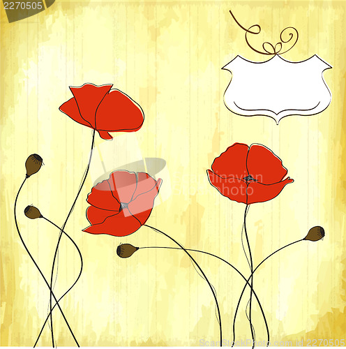 Image of poppies floral background