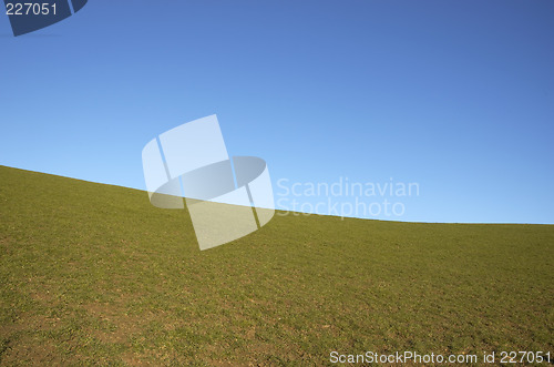 Image of grazing land and blue sky