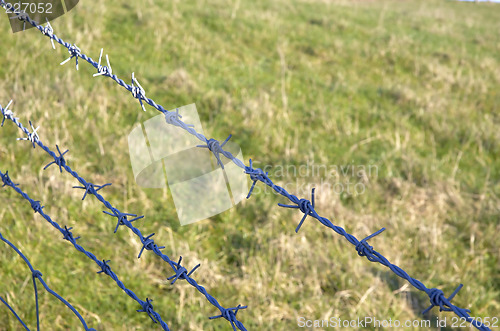 Image of Barbed wire