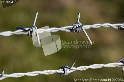 Image of Barbed wire