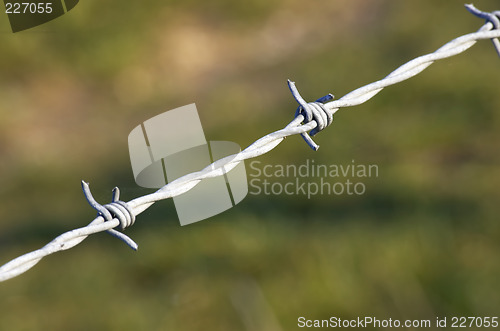 Image of Barbed wire