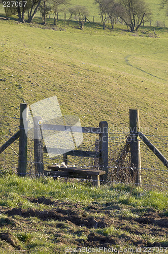 Image of Country stile