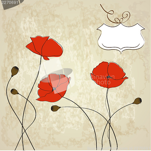 Image of poppies floral background