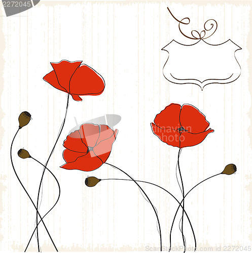 Image of poppies floral background