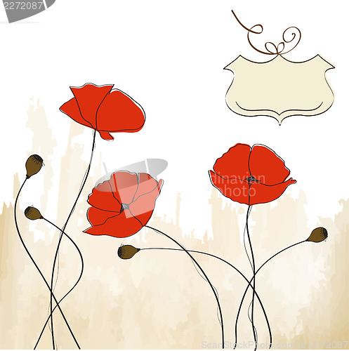 Image of poppies floral background