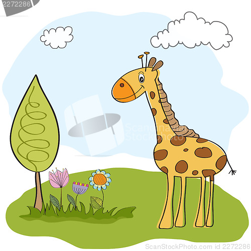 Image of giraffe