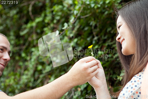 Image of Man Gives His Wife a Flower