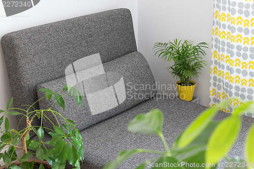 Image of Chaise longue and plants in the living room