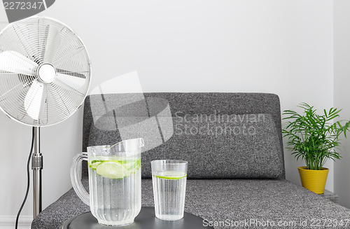 Image of Electric fan and water to cool down