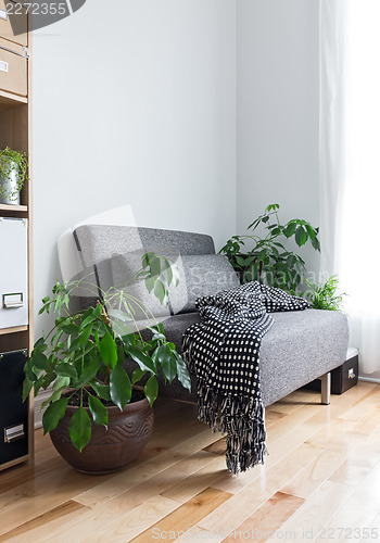 Image of Living room with comfortable armchair and plants