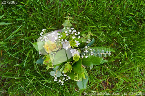 Image of food greens