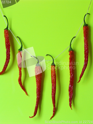 Image of Dry red peppers