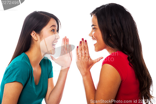 Image of Two girls sharing their secrets