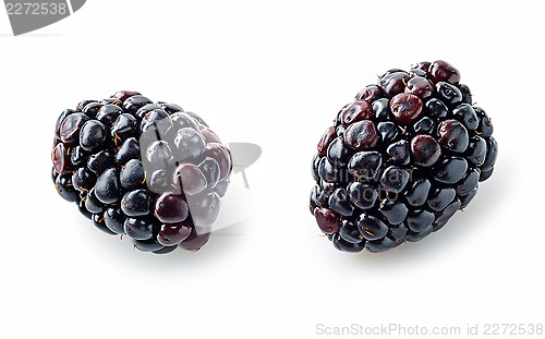 Image of two fresh blackberries macro on white background
