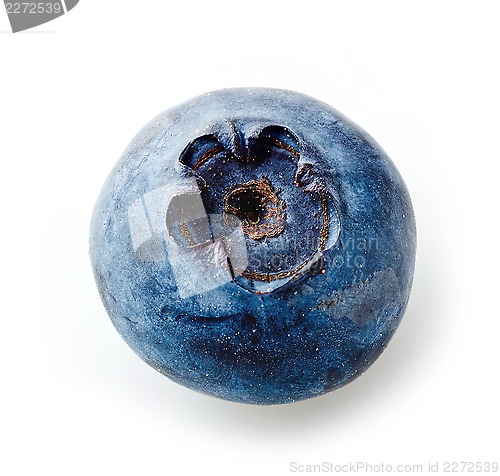 Image of fresh macro blueberry on white background