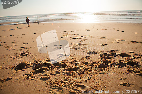 Image of Beach at sunset