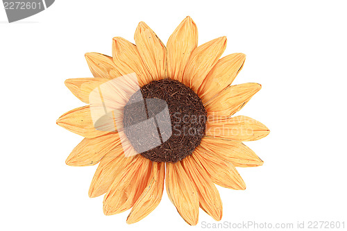 Image of sunflower for decoration on white background