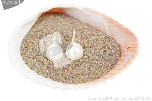 Image of two pearl earrings and sea shells on white