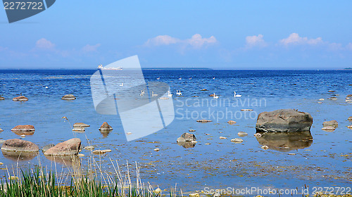 Image of Seascape  