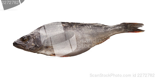Image of Dried fish the perch