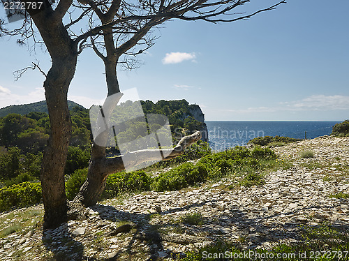 Image of Nature park Telascica