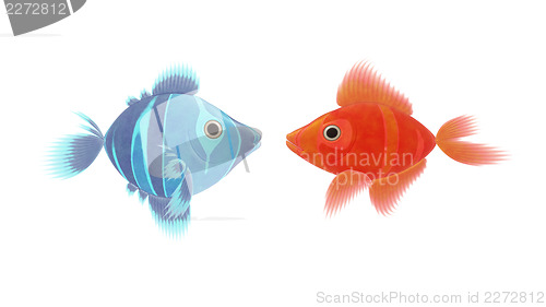 Image of red and blue fish