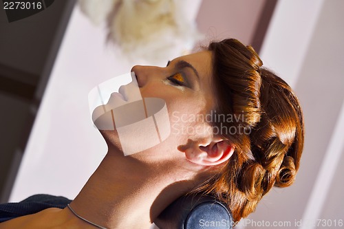 Image of Beautiful Woman with  Luxury Makeup