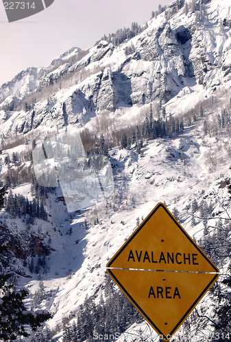 Image of avalanche area