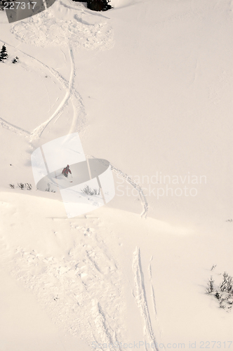 Image of racing the avalanche