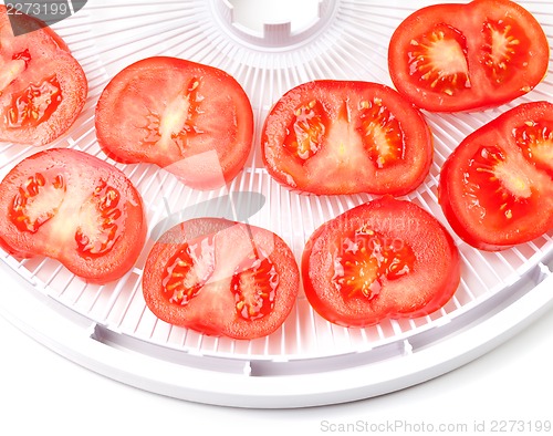 Image of Ripe tomato on food dehydrator tray, ready to dry