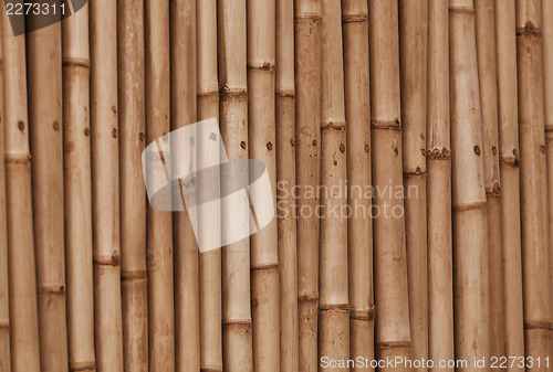 Image of Bamboo old brown wall background