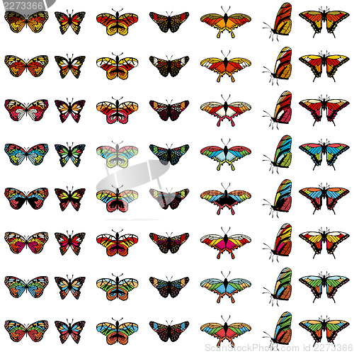 Image of butterfly set