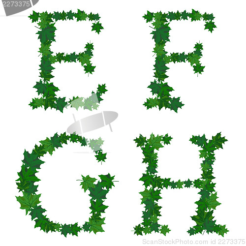 Image of Summer maples leaves letter set