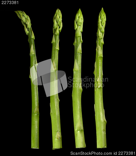 Image of Asparagus