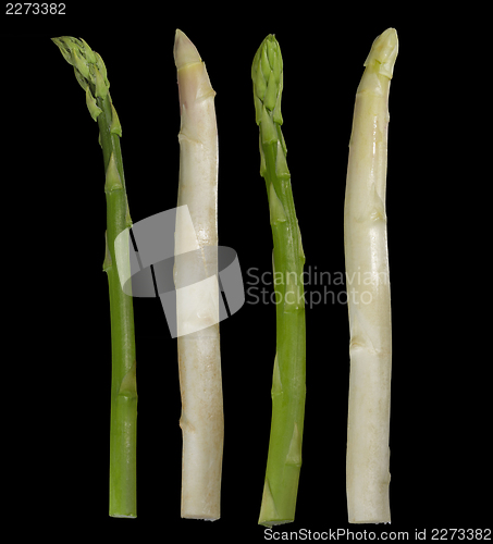 Image of Asparagus