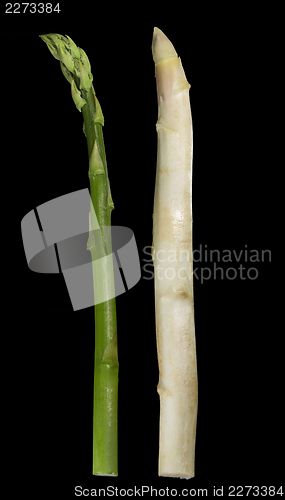 Image of Asparagus