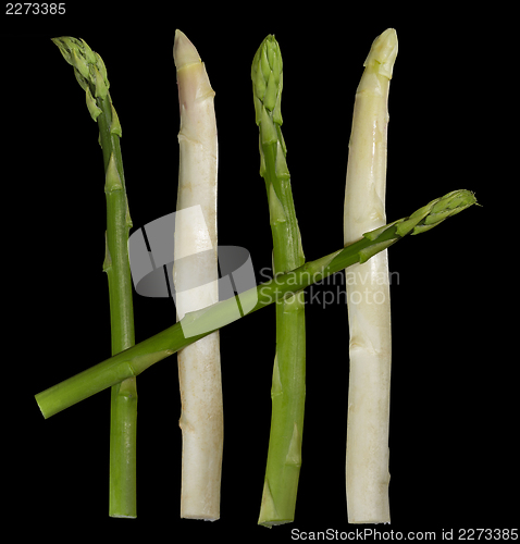 Image of Asparagus